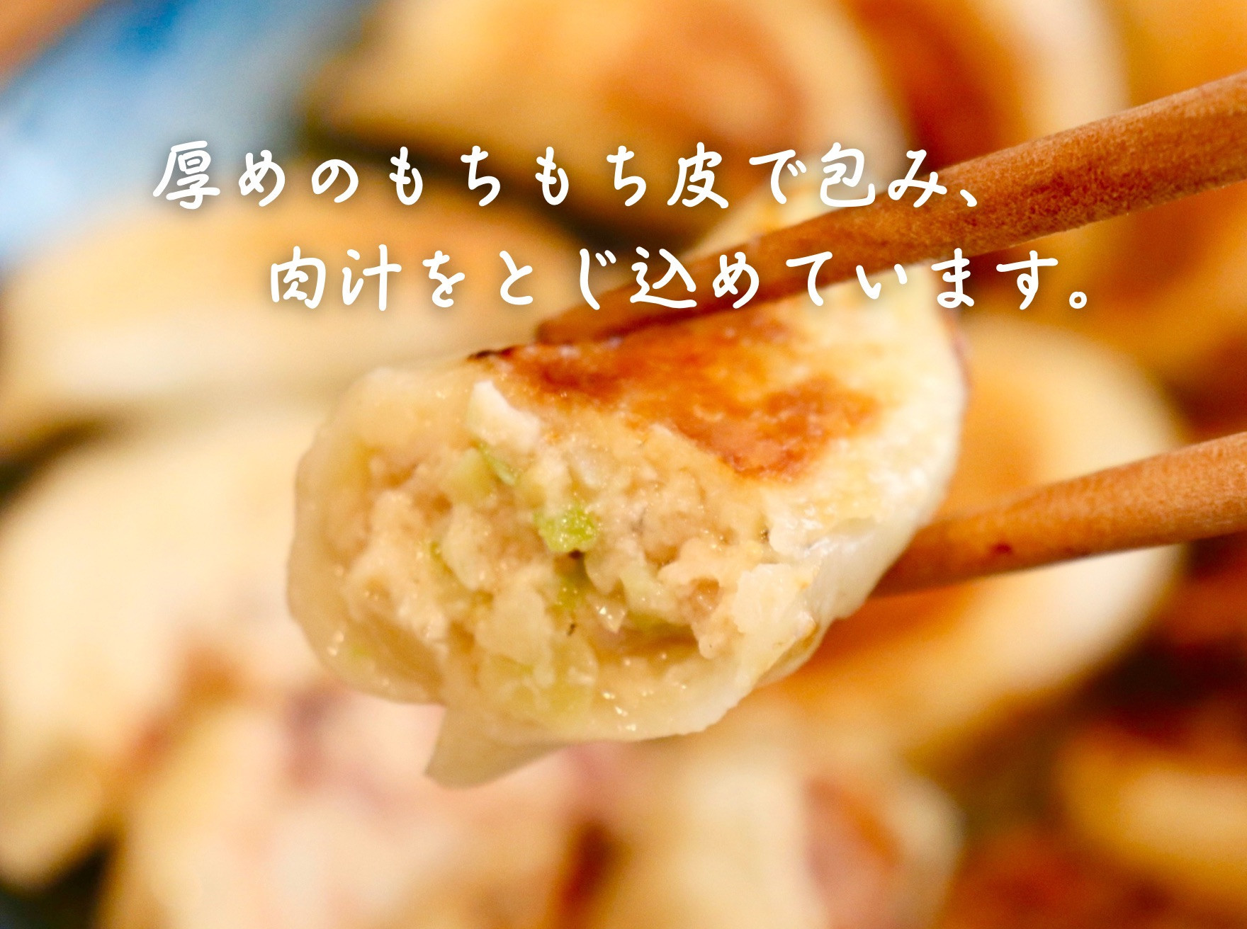 餃子 手包みにんにく餃子 Sパック 12個入り 餃子屋はまだ