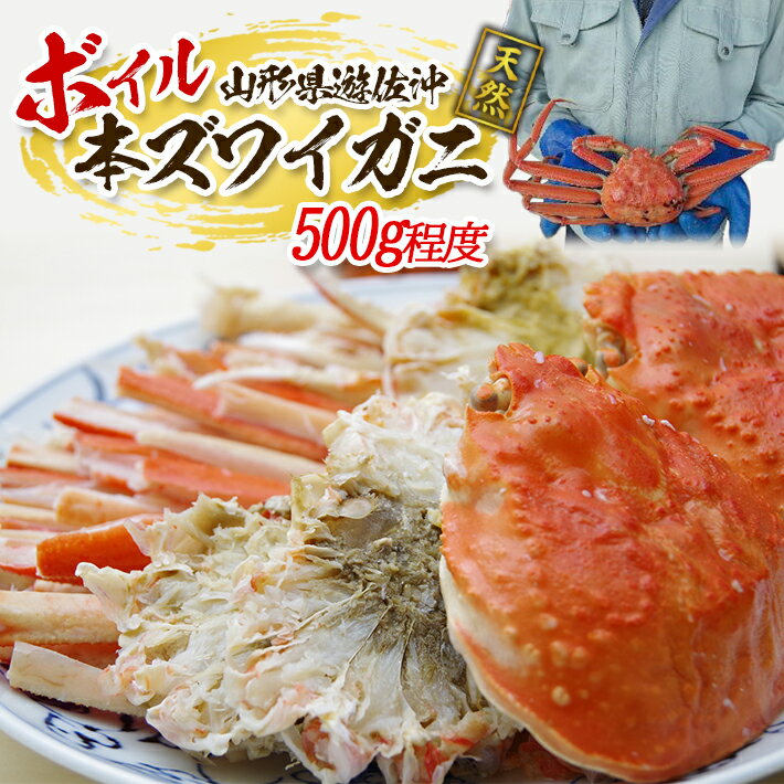 【ふるさと納税】ボイル 本ズワイガニ 1匹 500g程度 遊佐沖 10月中旬～12月下旬頃お届け 冷蔵便 ※着日指定・離島（沖縄県を含む）発送不可 東北 山形県 遊佐町 庄内地方 日本海 カニ 蟹 海産物 シーフード 海鮮 新鮮 まるごと ボイル 焼き 期間限定 お取り寄せ ゆで 茹で