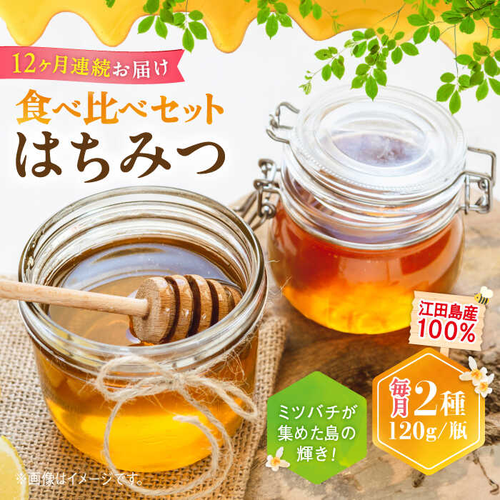 【ふるさと納税】【全12回定期便】江田島産100％ はちみつ 2種食べ比べセット（120g×3本） ハチミツ 蜂蜜 国産 広島 江田島市/はつはな果蜂園 [XCD029] ハチミツ 国産蜂蜜 国産はちみつ 純粋はちみつ 人気 産地直送 定期便