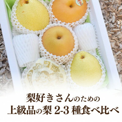【ふるさと納税】【2026年先行予約】梨好きのための、梨2-3種 食べ比べ 上級品 5-7玉(岡山県産)_ 梨 なし ナシ 梨セット 岡山産 高級フルーツ 果物 くだもの フルーツ 食べ比べ 詰め合わせ 贈答用 ギフト プレゼント 岡山県 津山市 産直 産地直送 送料無料 【1559796】