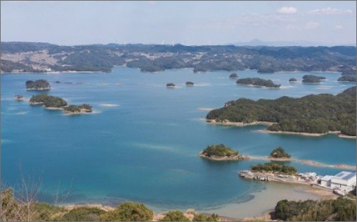 九州発！貸し切り遊覧船つばき号 弘法大師が筆をおとす美しさ「いろは島」デイクルーズ(2時間)【M00-001】