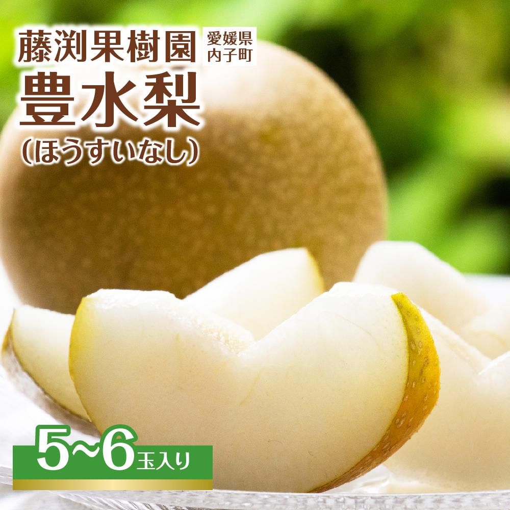 【ふるさと納税】藤渕果樹園の豊水梨（ほうすいなし）（1）【5～6玉入り】 | フルーツ 果物 くだもの 食品 人気 おすすめ 送料無料