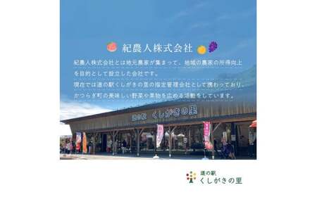 和歌山県産温州みかん　秀品　約5kg（約40個～60個入）【先行予約】【2026年11月上旬頃から12月中旬頃順次発送予定】 / みかん フルーツ 果物 柑橘 和歌山【kgr032A】
