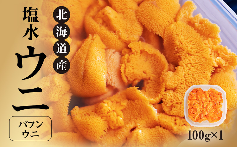 北海道産 世壱屋塩水ウニ（バフンウニ）100g_Y038-0140