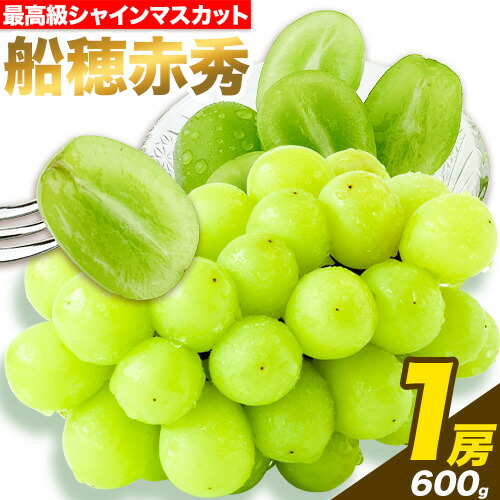 最高級 シャインマスカット [2026年先行予約] ぶどう 船穂赤秀 1房 600g 岡山県産《2026年9月上旬-10月末頃出荷(土日祝除く)》 ハレノフルーツ マスカット 送料無料 岡山県 浅口市 フルーツ 果物 贈り物 ギフト 国産 岡山県産【配送不可地域あり】