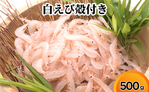 
                  白えび殻付き500g
                