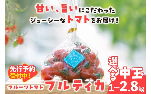 
                  【先行予約】【2027年1月中旬以降発送】フルーツトマト　中玉フルティカ【選べる内容量：1kg・1.4kg・2.8kg】│よこた農園 フフルティカ 野菜 トマト 新鮮野菜 太陽の恵み 中玉トマトトマト料理 愛知県産 フルーツとまと 甘いトマト お取り寄せ グルメ 常滑市
                