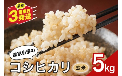 玄米 米 5kg お米 こめ コメ コシヒカリ こしひかり ギフト プレゼント 5キロ おこめ ごはん ご飯 八百津町 岐阜県 Y046-003