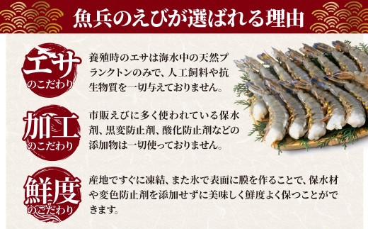 海老 エビ えび ブラックタイガー ぶらっくたいがー