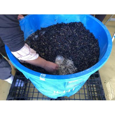 ふるさと納税 南魚沼市 【熟成の泡を日常に】南魚沼産カベルネ・スパークリング2021 ハーフ小瓶(375ml)6本セット |  | 03