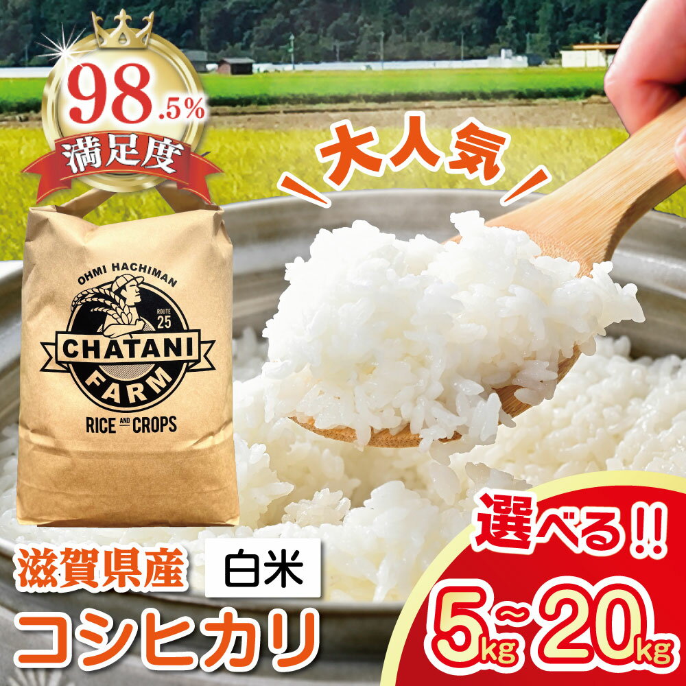 【ふるさと納税】令和7年産 近江米 コシヒカリ 白米 5kg / 10kg / 20kg 選べる 滋賀県産 茶谷ファーム