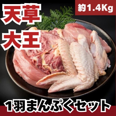 天草大王1羽セット(冷凍・雌)【配送不可地域：離島】【1591552】