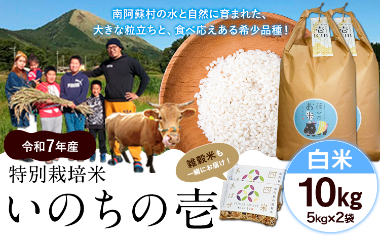 新米 令和7年産 米 いのちの壱(白米) 10kg(5kg×2袋)  雑穀付《10月中旬-11月下旬頃出荷》熊本県 南阿蘇村 南阿蘇 虹色のかば---sms_inci6_k1011_r7_33500_h10kg2---