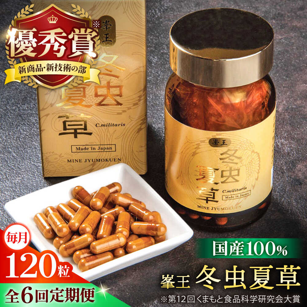 【ふるさと納税】【全6回定期便】峯王 冬虫夏草 120粒 カプセル 国産 サナギタケ【株式会社 峯樹木園】 冬虫夏草 サプリ サプリメント 体調 睡眠 健康維持 活力 合志市 熊本県[AYBM030]