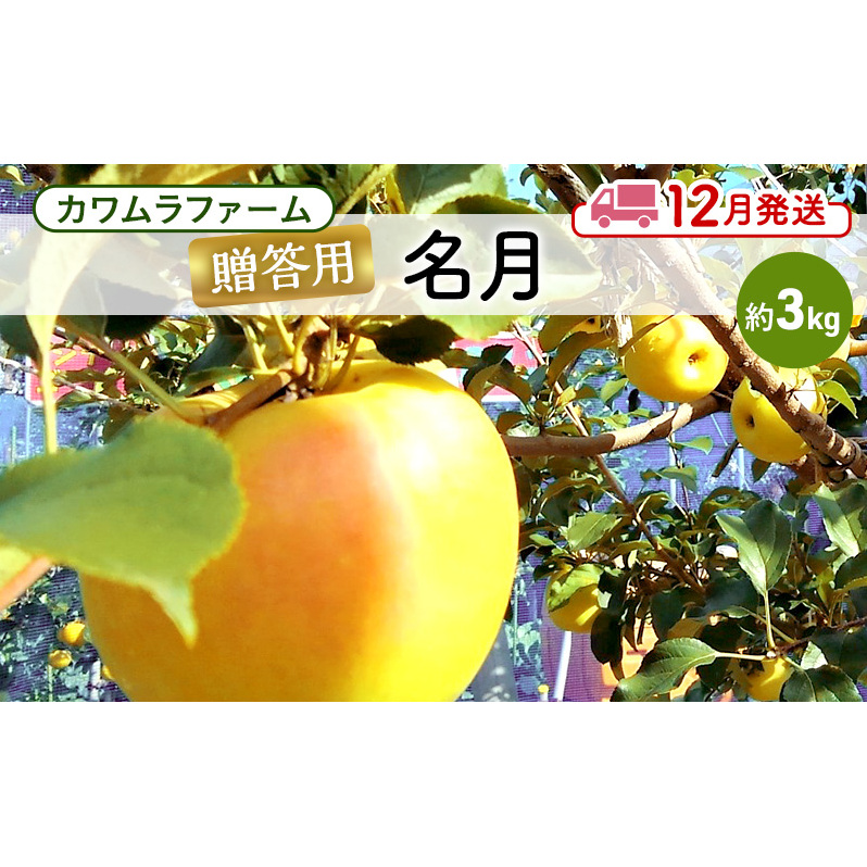 りんご 【12月発送】カワムラファーム 贈答用 名月 約3kg 【弘前市産 青森りんご】 青森 弘前