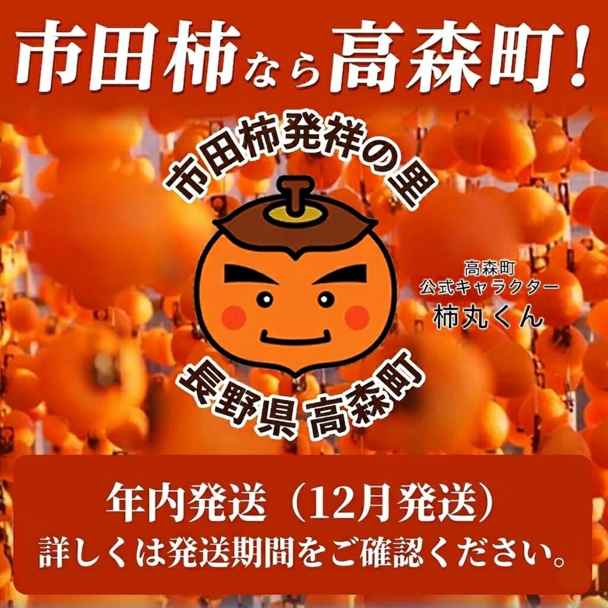 贈答用 【南信州産】 市田柿 700ｇ化粧箱 （20～28粒入り） 12月15日以降発送