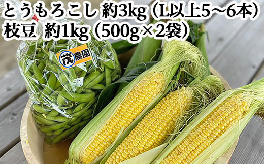 
                  とうもろこしと枝豆のセット（ゴールドラッシュL以上5～6本と季節の枝豆1kg）【丸茂農園】
                