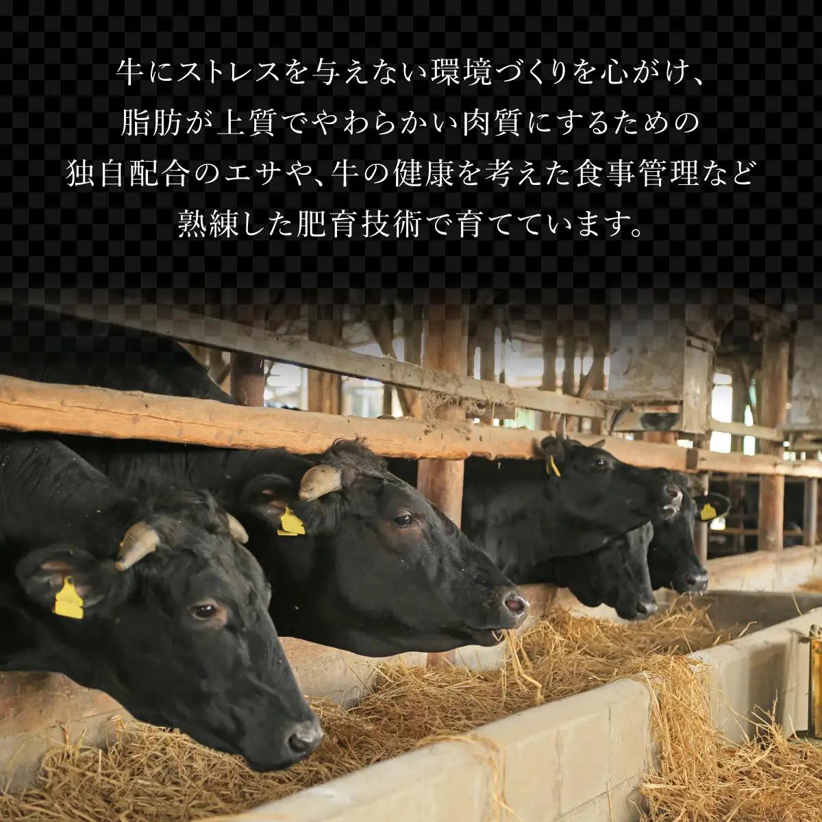 佐賀牛肩ロース焼肉用 600g (300g×2パック)