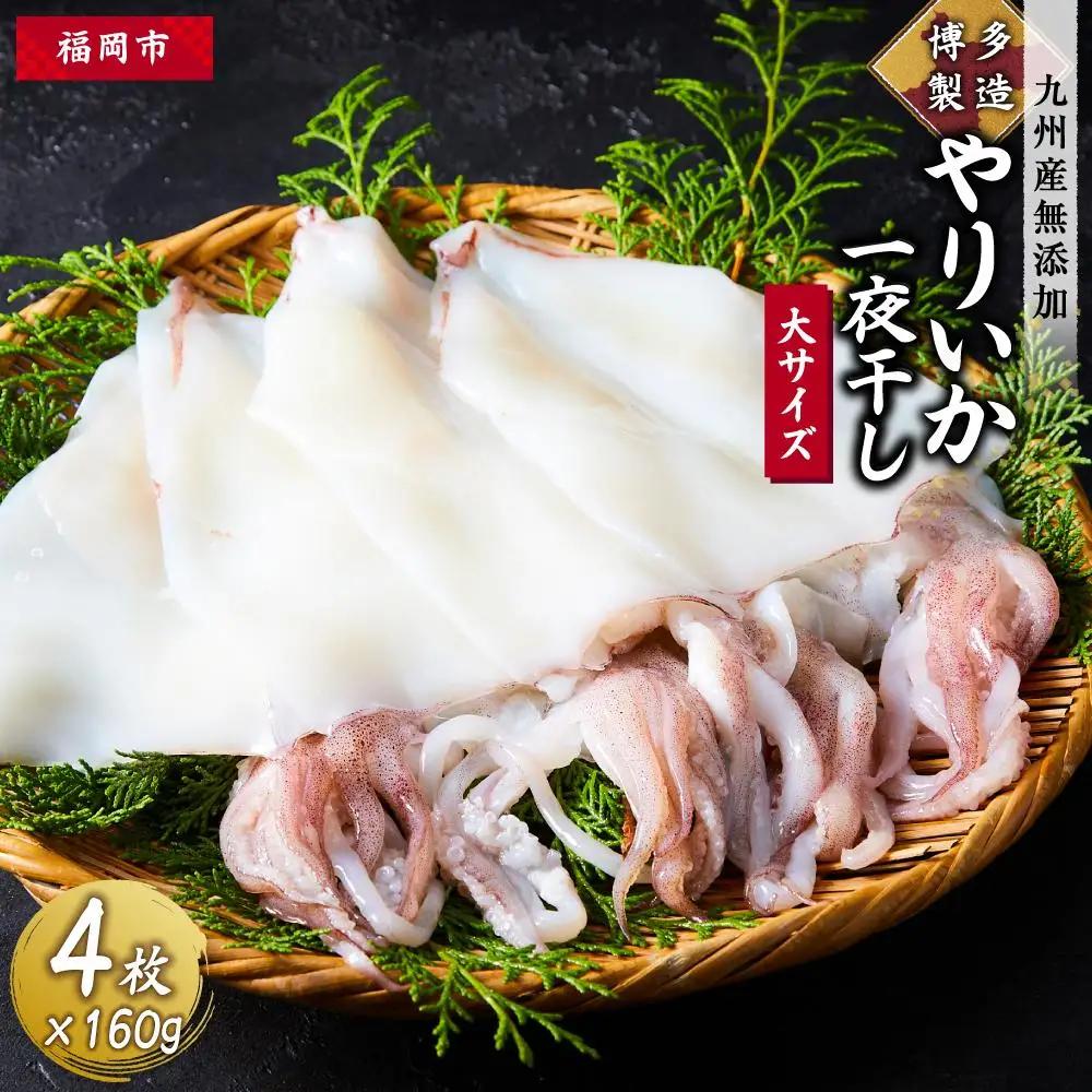 博多製造 九州産無添加やりいか一夜干し（大サイズ・160ｇ×4）