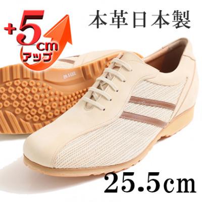 ふるさと納税 大和郡山市 メッシュスニーカー 紐タイプ 5cmアップシークレットシューズ ベージュ 25.5cm No.994