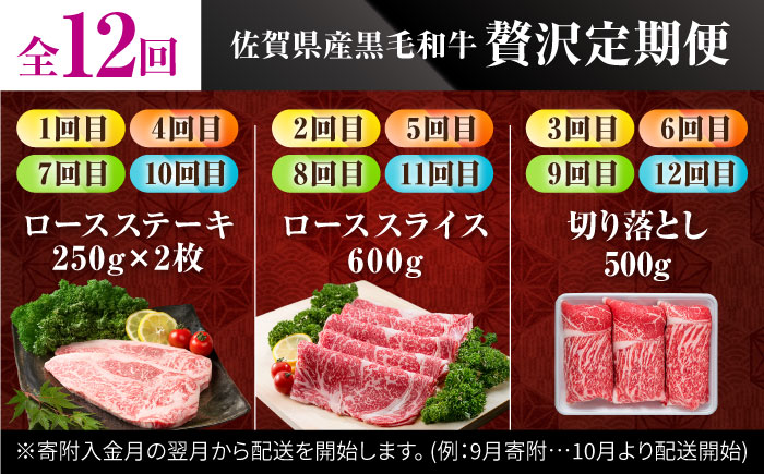 【肉のプロが厳選！】【全12回】佐賀県産和牛 贅沢定期便【株式会社いろは精肉店】 [IAG070]