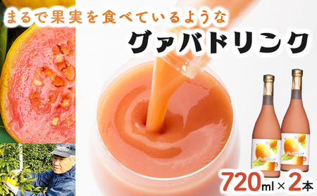 まるで果実を食べているような！ グァバドリンク２本セット (720ml×2本)_K021-012