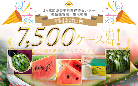 スイカ【２回定期便】ルナ・ピエナスイカ(大玉) 1玉 Wyu-0041