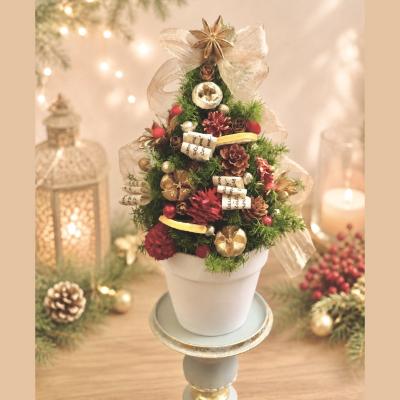 ふるさと納税 小牧市 プリザーブド卓上クリスマスツリー(レッド) [133O18-01] |  | 01