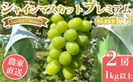 【先行受付2026年発送】シャインマスカット プレミアム 2房　1kg以上｜Jardin Omino　※2026年9月初旬~10月中旬に発送予定