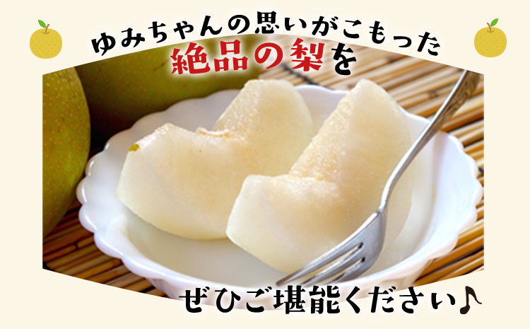 ゆみちゃん農園の玉東梨 甘太梨 約5kg(7～16玉前後) 《2026年8月下旬-10月上旬頃出荷》  梨 なし 果物 フルーツ---sg_cyumikanta_l810_r8_15000_5kg--