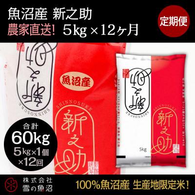 ふるさと納税 十日町市 【毎月定期便】【中里地域限定!魚沼産 新之助】 5kg(5kg×1袋)×12 合計60kg全12回