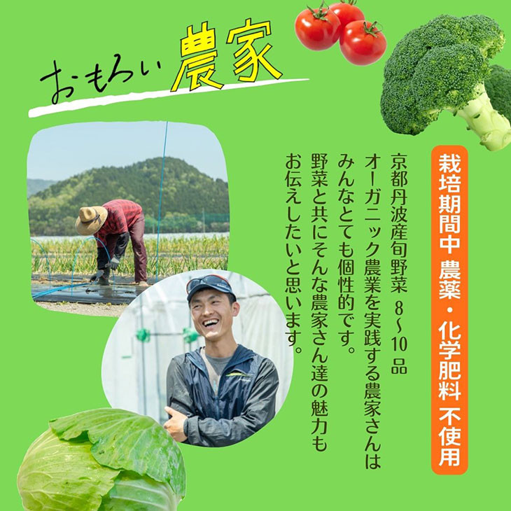 京都丹波産【栽培期間中農薬・化学肥料不使用】野菜セット