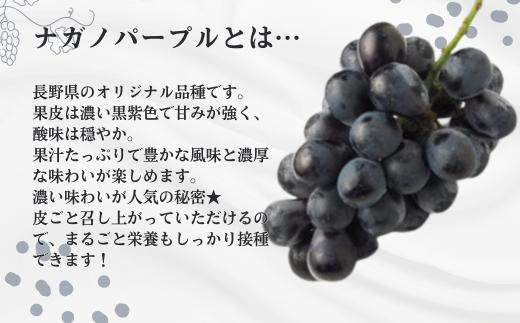 長野県オリジナル品種！果汁たっぷりの甘さをぜひ味わってください！