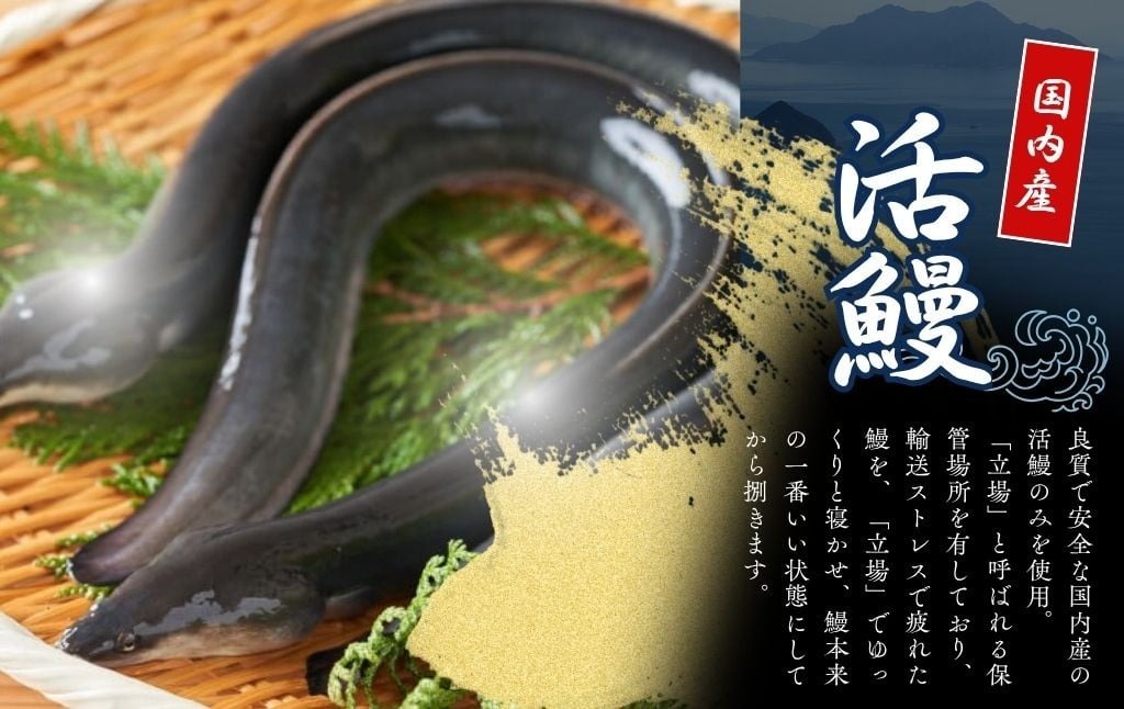 国産 うなぎの蒲焼 【3尾】 たれ付き 鰻 うなぎ 丑の日 魚 魚介 海鮮 肉厚 ジューシー かば焼き 蒲焼き うな重 ひつまぶし うな丼 どんぶり ごはん お米 年末年始 お取り寄せ ギフト プレゼ