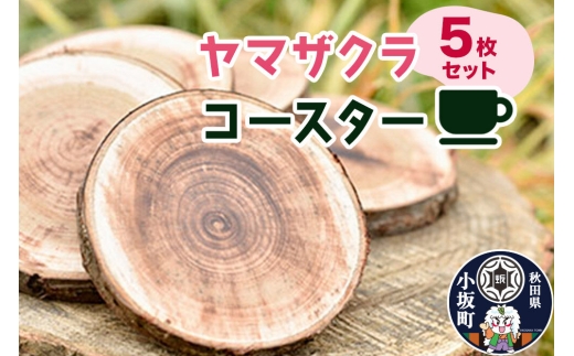 ヤマザクラコースター（樹皮付き） 5枚セット＜クロネコゆうパケット＞ [コースター 木製コースター ヤマザクラ 山桜 天然木 雑貨 キッチン雑貨 セット 贈り物 ギフト]