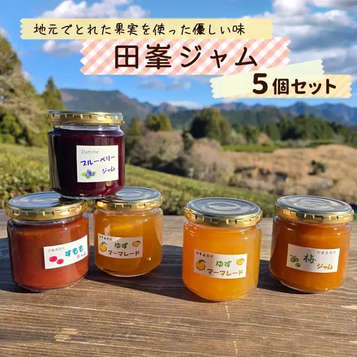 田峯手作りジャム 5個セット ジャム -021