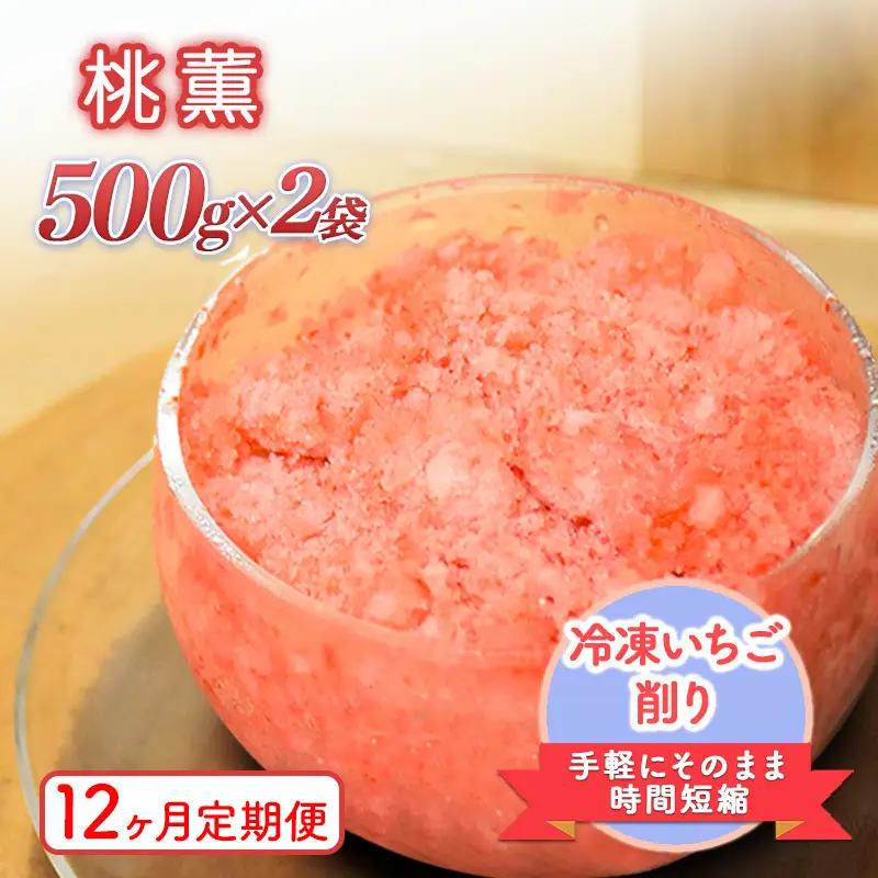 【12ヶ月定期便】削りいちご 桃薫 500g×2袋 いちご フルーツ