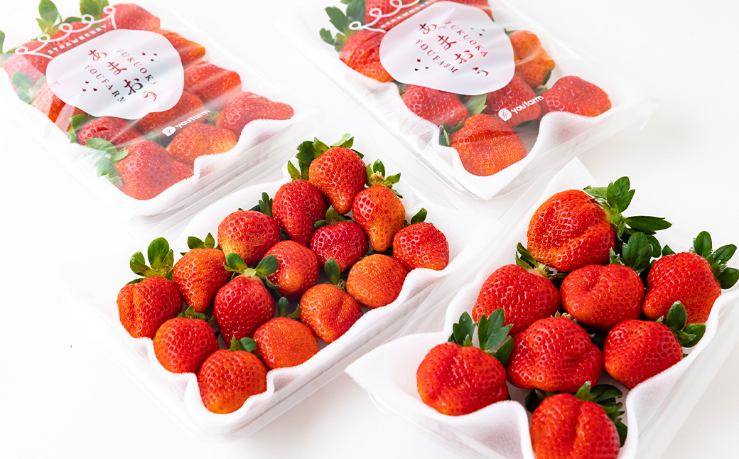 Green's 「いちごの王様」目指す福岡県産あまおう 250g×4パック 3月分 あまおう いちご イチゴ 苺 フルーツ 果物 冷蔵 送料無料 福岡県 うきは市 【2026年3月より順次発送予定】