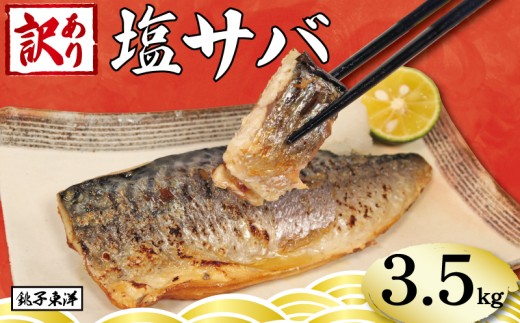 訳あり 塩さば フィーレ 選べる容量 約3.5kg 鯖 さば 塩鯖 フィレ 魚介類 魚 魚貝 魚介 海鮮 人気 冷凍 大容量 冷凍食品 おつまみ 酒 さけ おかず 惣菜 弁当 不揃い 規格外 訳アリ 訳有 傷 グルメ お取り寄せ 贈答 贈物 プレゼント 贈り物 長期保存 ギフト 小分け ふるさと納税 ふるさと納税鯖 送料無料 千葉県 銚子市 銚子東洋