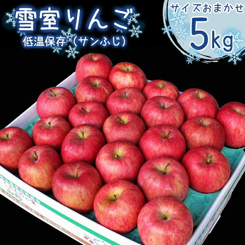 【ふるさと納税】雪室りんご「サンふじ」 5kg サイズおまかせ 【2026年1月下旬頃〜2月下旬頃発送予定】 ／ お取り寄せ ご当地 特産 果物 フルーツ くだもの リンゴ 林檎 季節 冬 食後 デザート 2025年産 令和7年産 東北 山形県 5キロ ふるさと納税 りんご