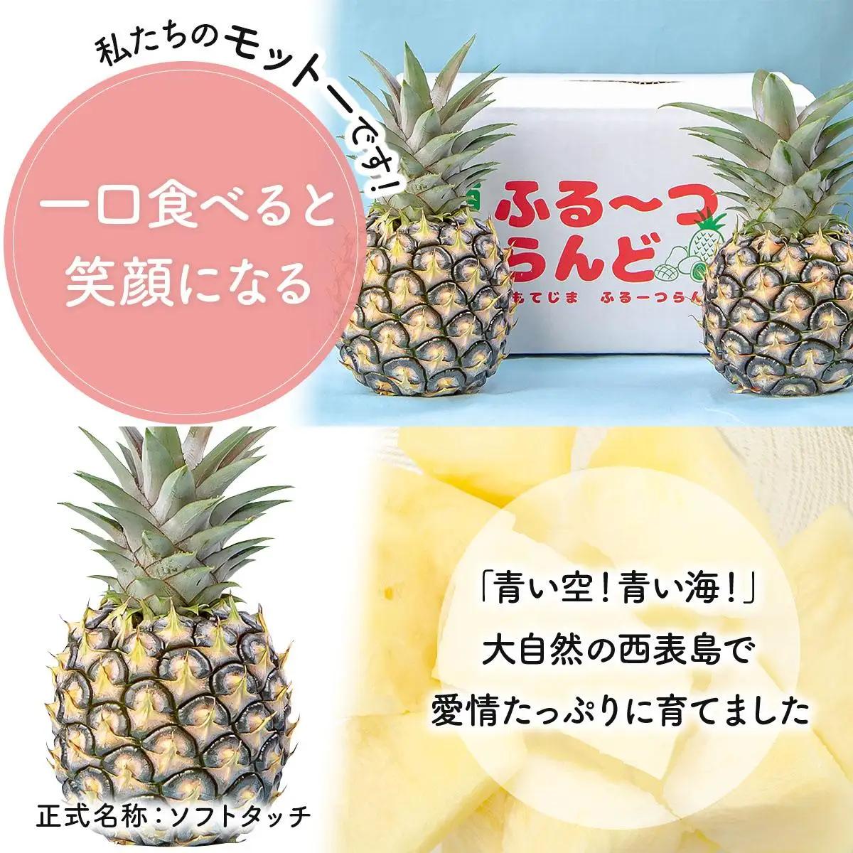 【2027年先行予約】ピーチパイン 約 2.2kg 