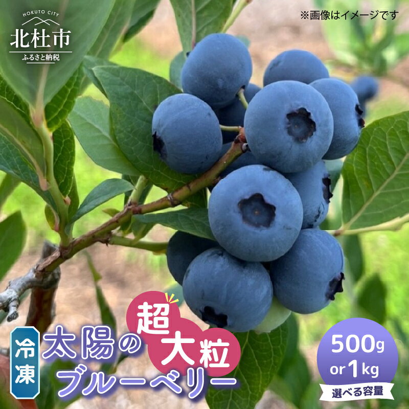 【ふるさと納税】 ＼レビューキャンペーン実施中／ ブルーベリー 超大粒 冷凍 選べる容量 500g 1000g 無農薬 期間限定 数量限定 フルーツ くだもの 冷凍フルーツ 新鮮 ジュース ジャム お菓子 山梨県 北杜市 明野町 送料無料