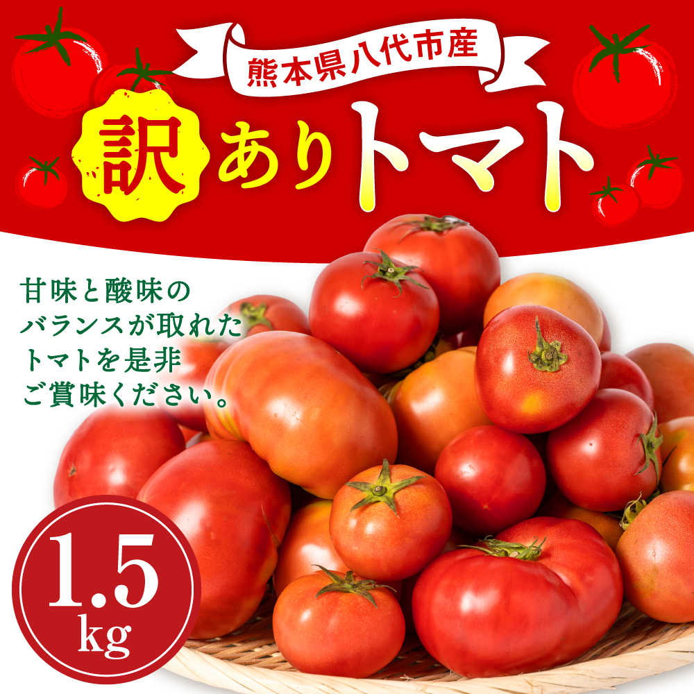 【先行予約】 【訳あり】 八代市産 規格外トマト 1.5kg 熊本県 トマト 野菜【2024年11月下旬より順次発送】