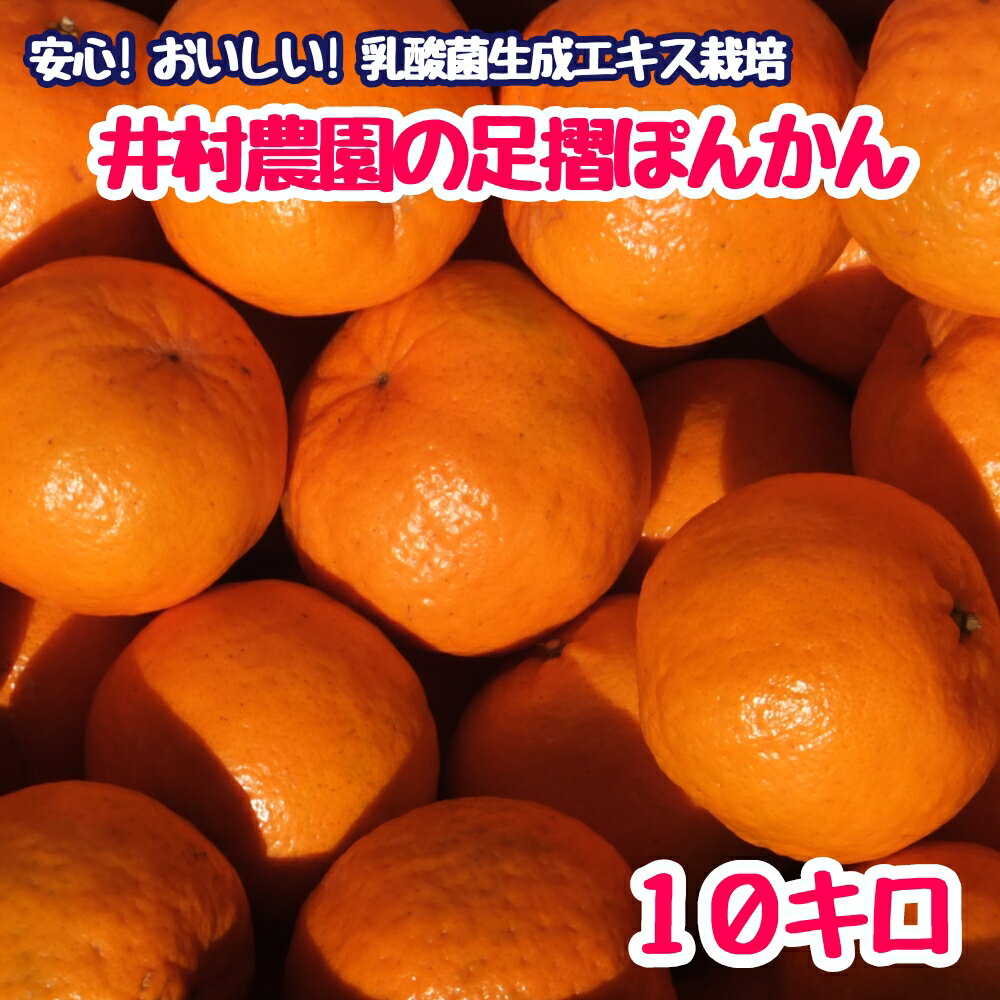 【ふるさと納税】R8.1月下旬発送 ご贈答◎ ギフト◎ 完熟 足摺ぽんかん 10kg デコポンの親 みかん 柑橘 果物 果実 ミカン ポンカン フルーツ おやつ デザート 10キロ 美味しい おいしい 国産 送料無料 高知 高知県 ギフト ふるさとのうぜい 故郷納税 返礼品【R01494】