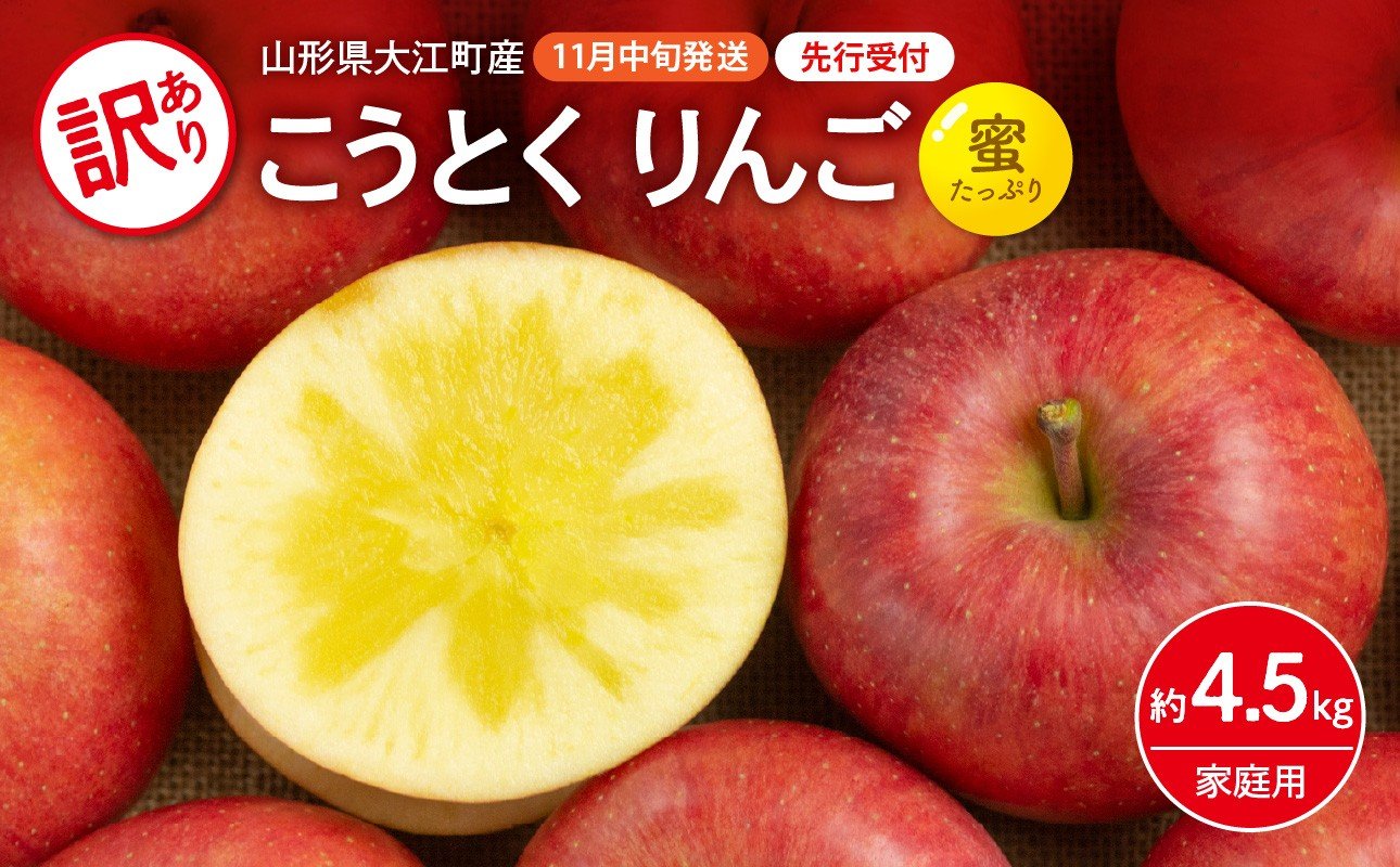 
            《先行受付》訳ありこうとくりんご約4.5kg 【2025年11月中旬頃～発送予定】【大江町産・山形りんご・大地農産・11月・12月】【028-025】
          