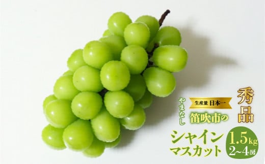 【2026年発送★先行予約】山梨県　笛吹産　シャインマスカット　1.5kg（2～4房）秀品 215-010-26y