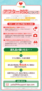 [1月以降発送] [期間限定] 栃木県産 いちご ロイヤルクイーン12～15粒 先行予約 選べる発送月｜栃木県産 矢板市産 フルーツ スイーツ デザート 果物 果実 産地直送 栃木県 矢板市