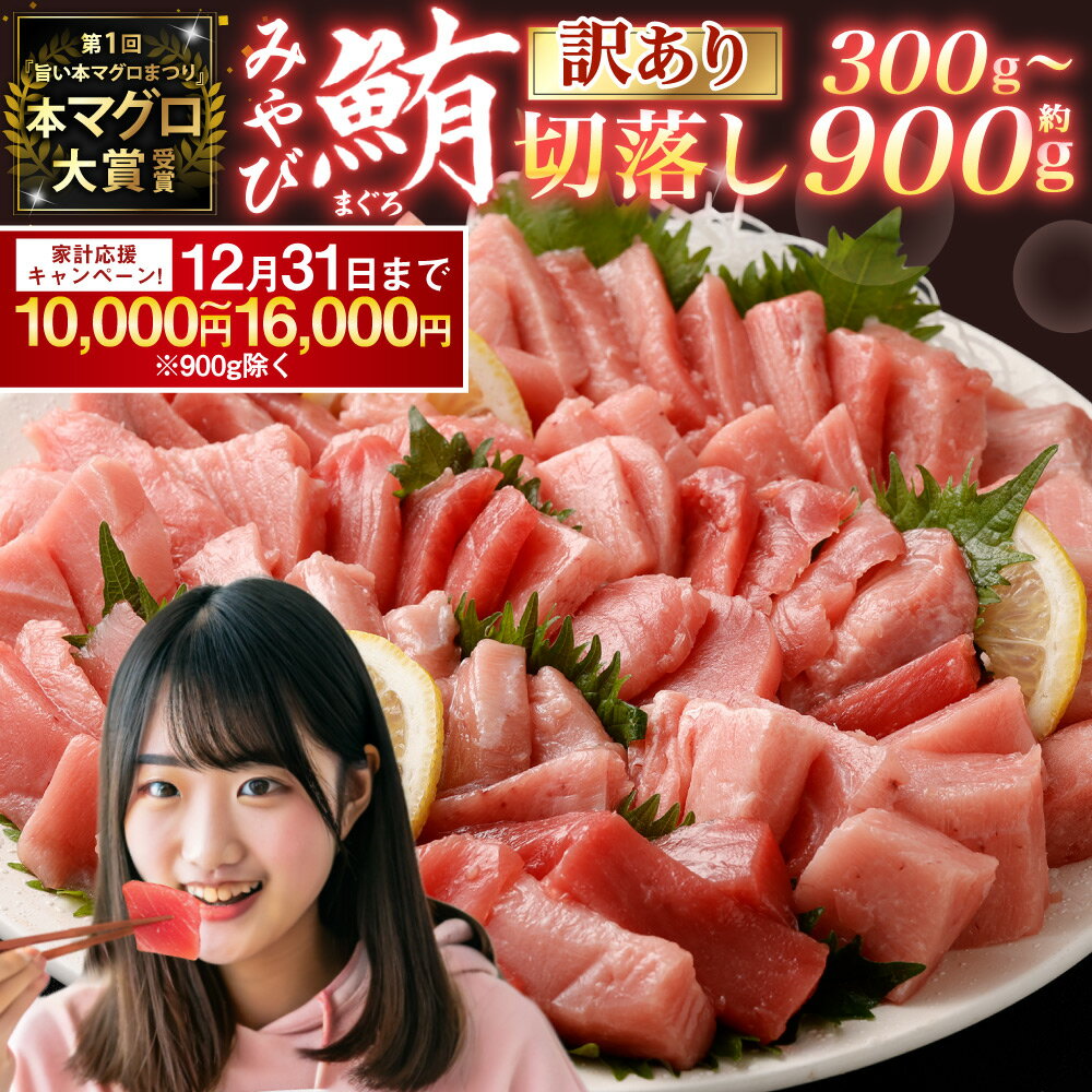 【ふるさと納税】【期間限定！～12月31日まで一部寄附額改定中】訳あり みやび鮪 切り落とし 端っこちゃん 約300g/約400g/約500g/約600g/約900g 選べる内容量 | 10000円 〜 24000円 マグロ 本マグロ 冷凍まぐろ 冷凍鮪 まぐろトロ 鮪トロ 国産鮪 国産まぐろ 本鮪 魚 刺身