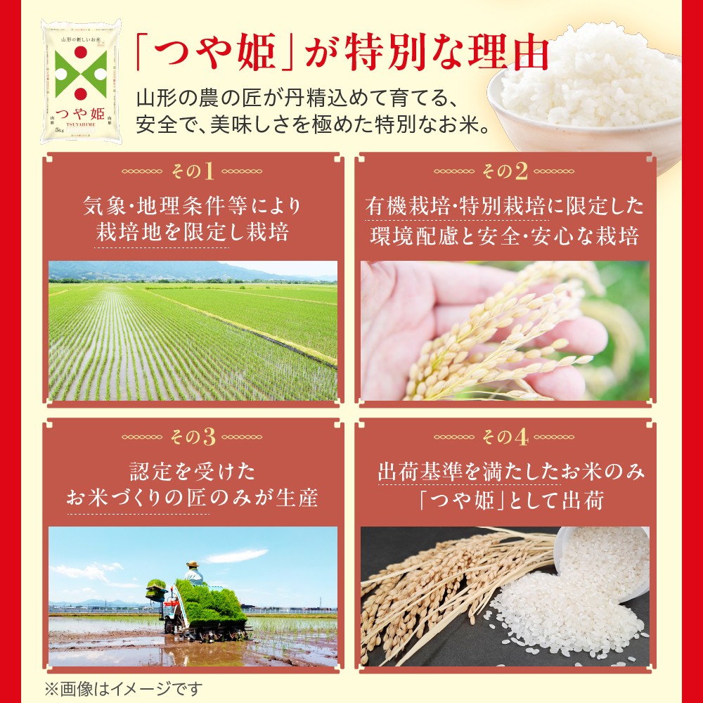 令和7年産 山形県産 特別栽培米 つや姫 10kg ( 5kg × 2袋 ) 精米 白米 2025年産 産地直送 山形県 米沢市