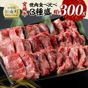 【ふるさと納税】※レビューキャンペーン※宮崎牛 焼肉 食べ比べ 3種盛 300g - 肉 牛肉 国産 宮崎県産 黒毛和牛 和牛 焼肉 バーベキュー D11416